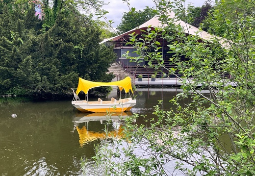 23-05-16 13-34-14 5411